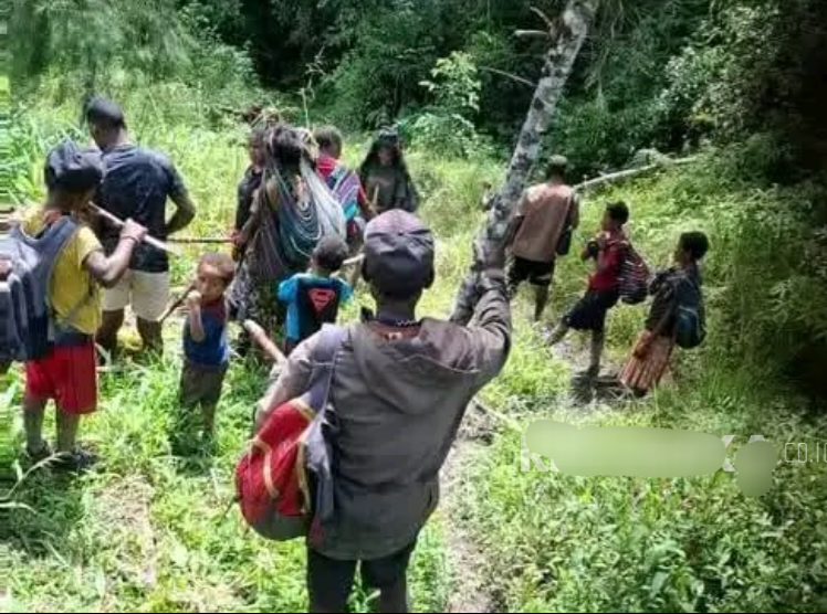 Ribuan Warga Puncak Ketakutan, 'Segera Akhiri Konflik Bersenjata' di Papua
