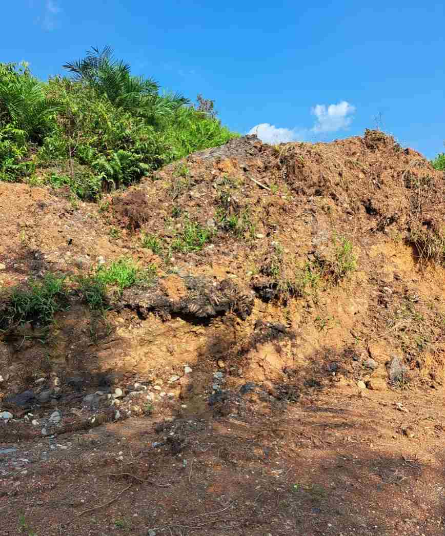PT Padasa Enam Utama Tutup Jalan Kebun, DPRD Riau Desak Pemkab Kampar Bertindak