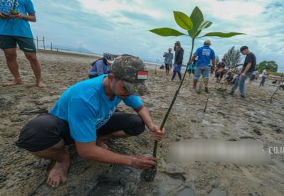 Pelaku Perusak Hutan Mangrove Diburu