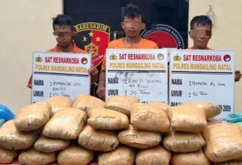 3 Warga Sumbar Kepergok Polisi saat Hendak Jemput 39 Kg Ganja di Madina