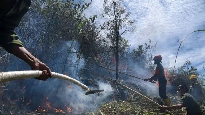 Rokan Hilir Jadi Penyumbang Tunggal Hotspot Riau Hari Ini