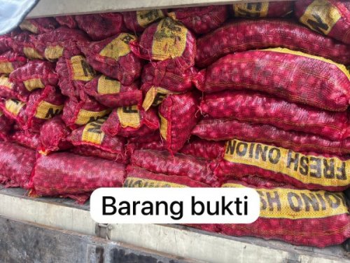Polsek Teluk Meranti dan Polres Pelalawan Gagalkan Penyelundupan 887 Karung Bawang Ilegal