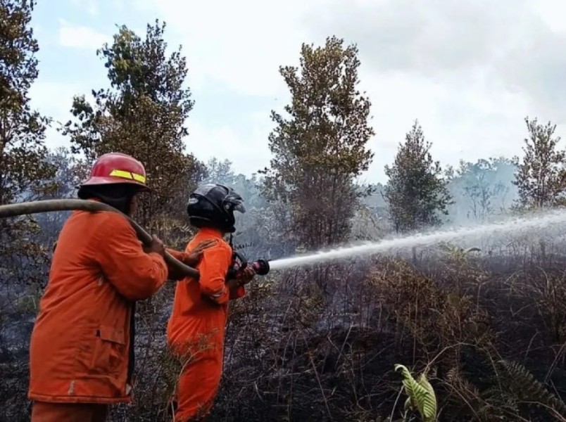 Pemkab Natuna Berhasil Padamkan Kebakaran Lahan Seluas 10 ha