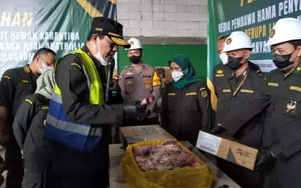Tercampur Jeroan, 17,2 Ton Limpa Sapi Impor Australia Dimusnahkan