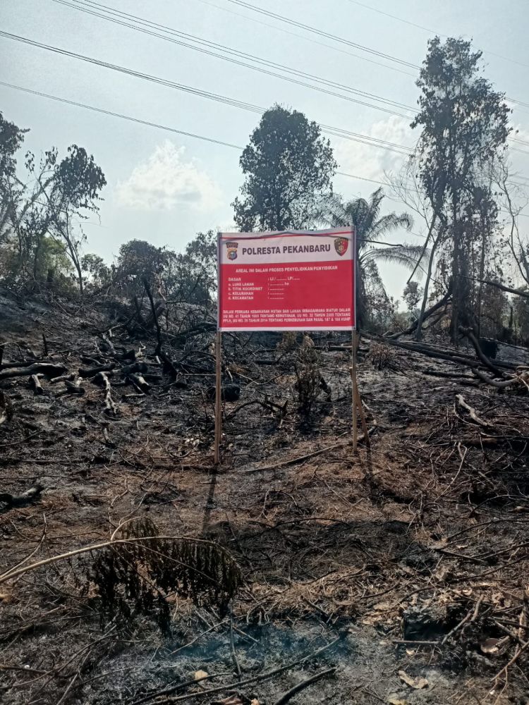 Petani Sayur Ditangkap Polisi Usai Bakar Lahan Milik PT PHR