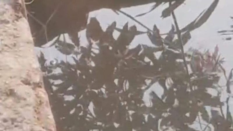 Pria Asal Riau Ditemukan Tewas di Sumur di Wilayah Tembung Deli Serdang dengan Kondisi Mengenaskan