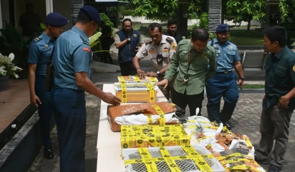 Penyelundupan 445 Kulit Ular Piton Digagalkan Petugas di Bakauheni