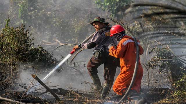 Sembilan Daerah di Riau Siaga Darurat Karhutla