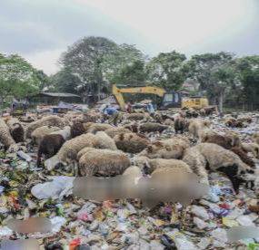 Indonesia Darurat Sampah Makanan