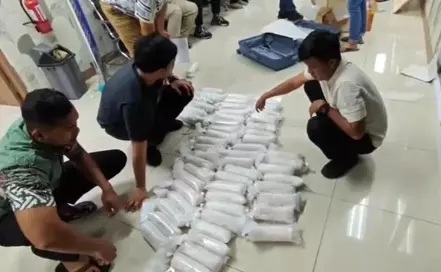 Polresta Bandara Soetta Gagalkan Penyelundupan Benih Lobster Rp 38 M
