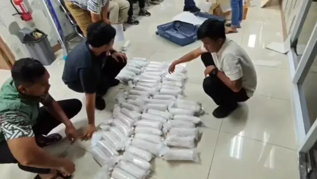 Prabowo Siapkan Perpres Hentikan Perdagangan Ilegal Benih Lobster