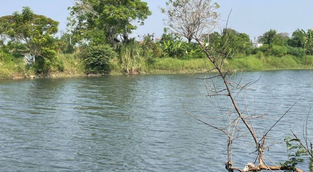 DLHK Provinsi Banten investigasi pencemaran Sungai Ciujung