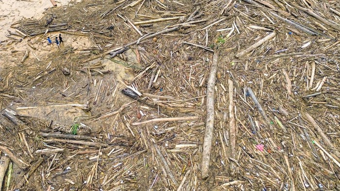 Satgas PKH Bakal Usut Gelondongan Kayu Hanyut-Menumpuk Saat Bencana Sumatera