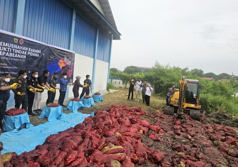 Bea Cukai Dumai Musnahkan 24 Ton Bawang Ilegal, Rugikan Negara Ratusan Juta Rupiah