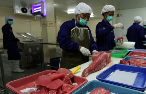 Ekspor Perikanan Turun 41 Persen Imbas Perang Iran