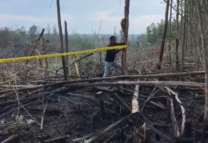 5 Hektare Lahan TNTN Terbakar, Polisi Selidiki Unsur Kesengajaan