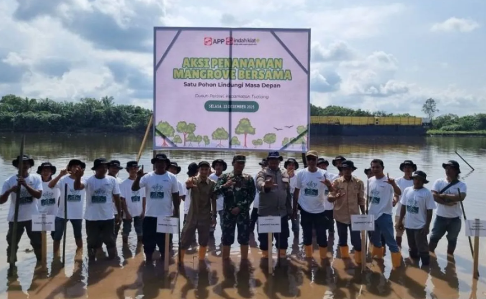 PT IKPP Bersama Warga Tanami 5000 Pohon Mangrove di Tepian Sungai