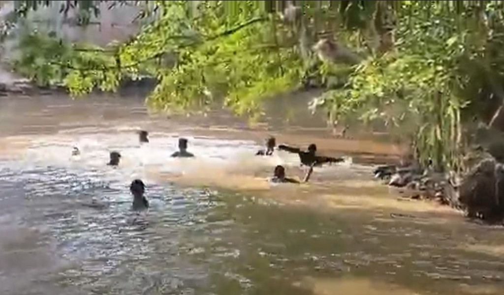 Digerebek Polisi saat Asyik Nyabu, Sejumlah Pengguna Lompat ke Sungai