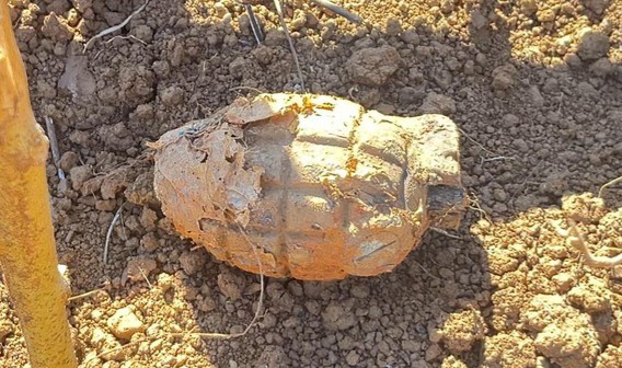 Warga Palopo Temukan Granat Nanas Saat Bersih-bersih Kuburan