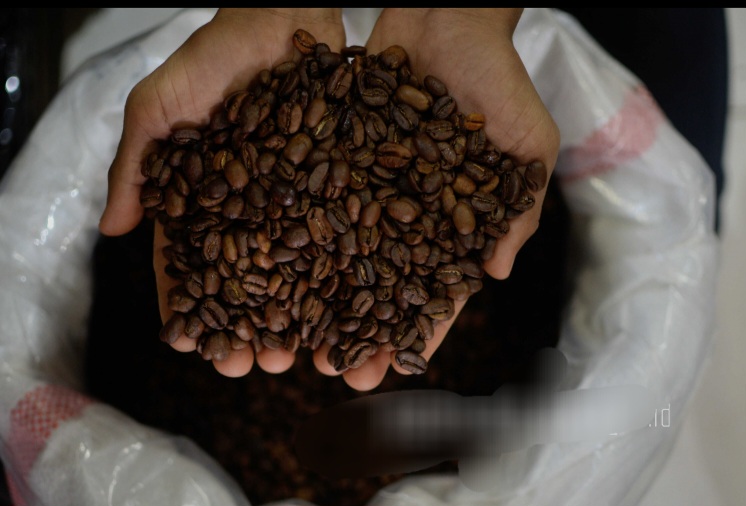Startup Singapura Ciptakan Kopi Tanpa Biji demi Lingkungan