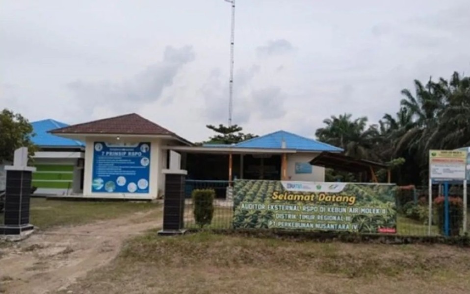Produksi 40.984 Ton Sawit, Kinerja Air Molek Group PTPN IV Regional III Melesat