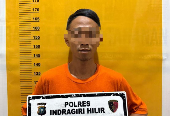 Polres Inhil Tangkap Pelaku Pembakaran 5 Hektare Lahan Gambut di Gaung