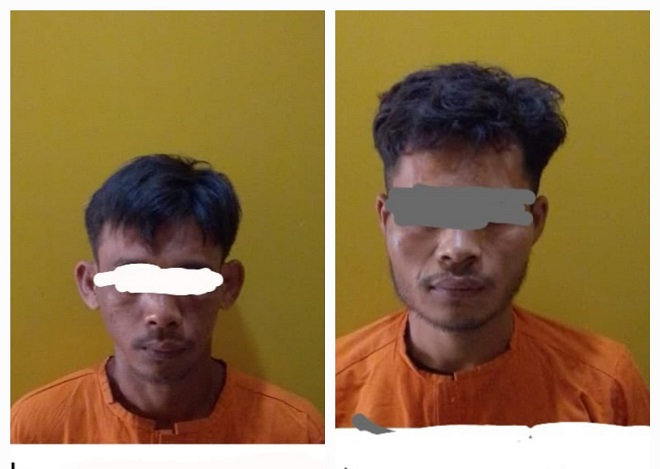 Polisi Tangkap Pelaku Pencurian Buah Kelapa Sawit di PT. SLS