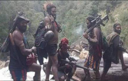 Sebanyak 11 Penambang Emas di Papua Dikabarkan Tewas Dibunuh OPM