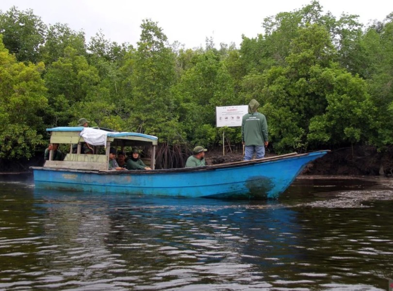 Desa Teluk Pambang Berhasil Tekan Kerusakan Mangrove hingga 96 Persen