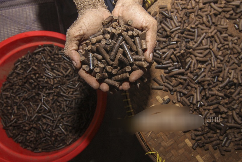 Biaya Logistik Jadi Hambatan Utama Biomassa Berbasis Limbah