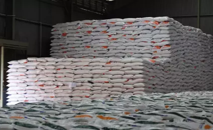 Jelang Ramadan, Bulog Sudah Serap 140 Ribu Ton Beras