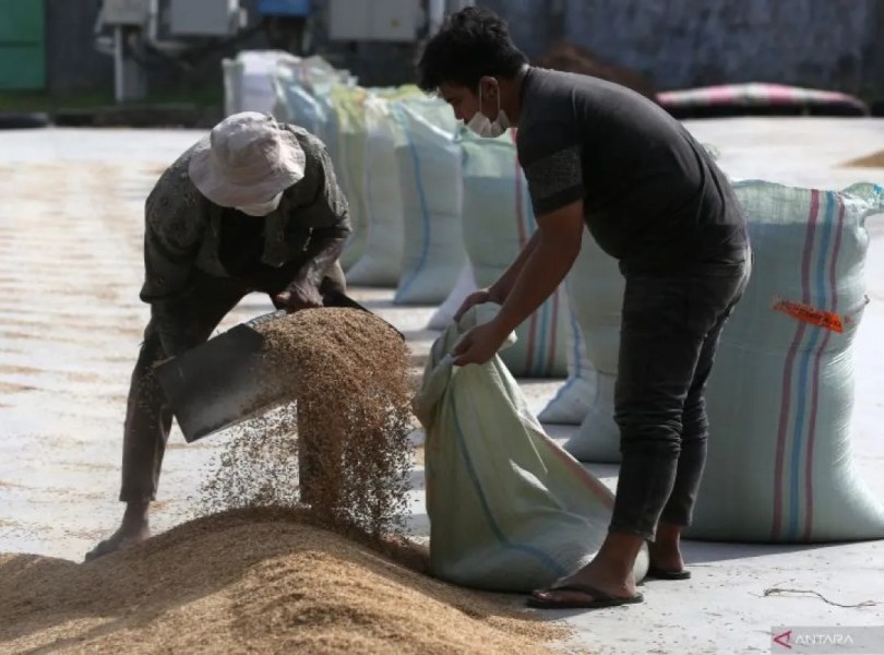 Harga beras naik Rp1.000 per kilogram di Pekanbaru, SPHP kosong