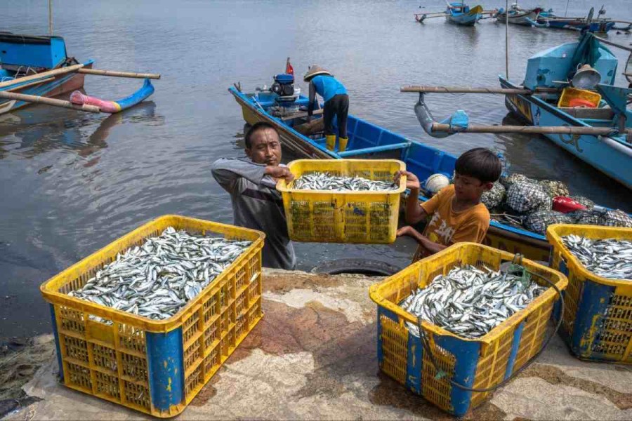 BRI Salurkan KUR Rp175,66 Triliun, Wujud Komitmen Dukung Ekonomi Kerakyatan