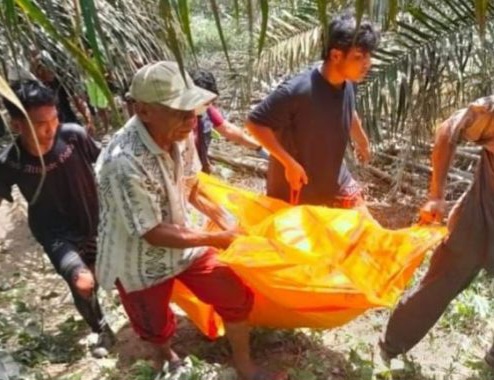Sempat Dikira Bangkai Hewan, Mayat Pria di Kampar Bikin Gempar