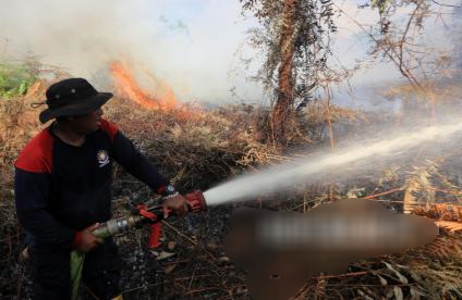 Kementerian Lingkungan Hidup Konsolidasikan Kesiapsiagaan Hadapi Kebakaran Lahan