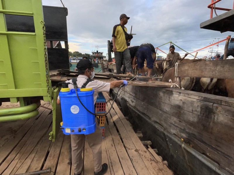 Barantin Perketat Pengawasan Pemasukan Hewan Kurban di Wilayah Kepri