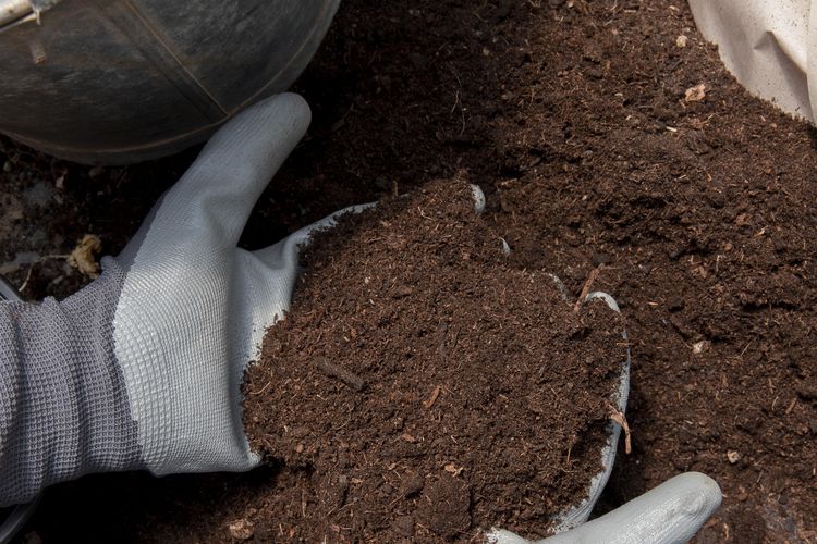 Studi Buktikan, Urine Manusia Betul-betul Bisa Jadi Pupuk