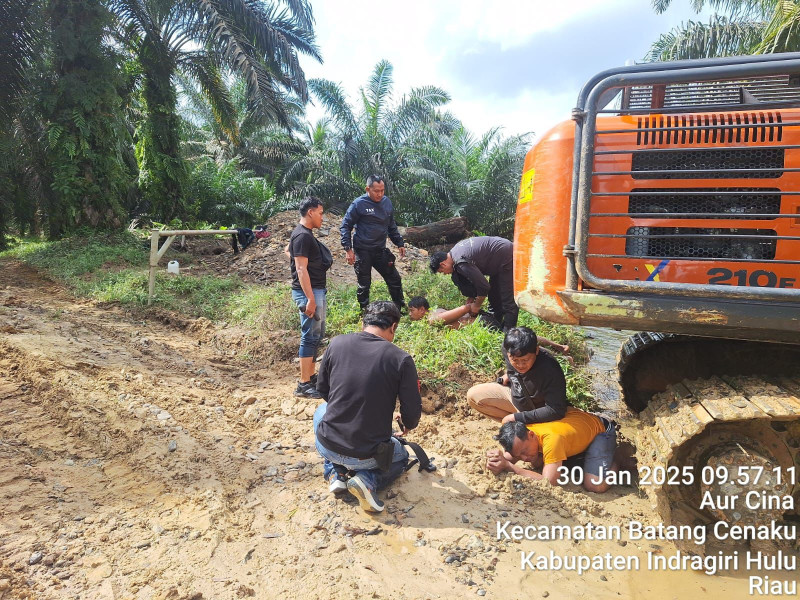 Polres Inhu Amankan Pelaku Penggarap Kawasan Hutan TNBT