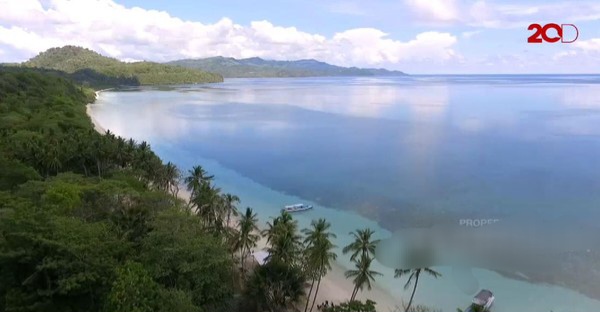 Sebanyak 25 Kg Kokain Diduga Selundupan dari Kolombia Ditemukan di Pantai Selayar