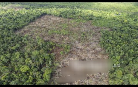 Pengelolaan Hutan Berkelanjutan Kunci Mitigasi Perubahan Iklim
