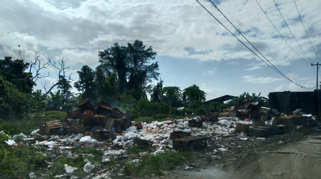 Ketua YLKI Riau Desak Pemko Tutup TPS Gudang Pasar Buah Pekanbaru
