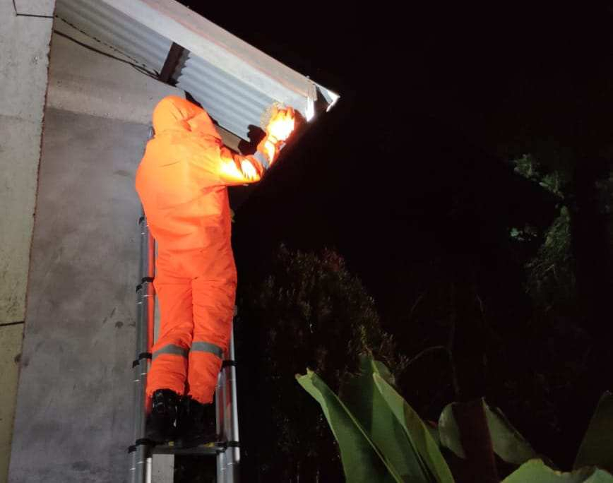 Damkar Meranti Musnahkan 75 Sarang Tawon, Eksekusi di Malam Hari