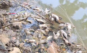 Air Kali Cisadane Belum Aman, Gudang Kimia Tak Ada Izin Lingkungan