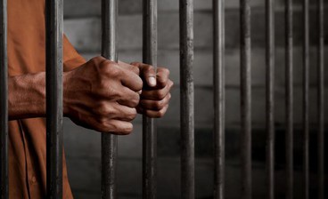 Sebanyak 86 WNI Ditangkap usai Berontak-Kabur dari Kantor Online Scam Kamboja