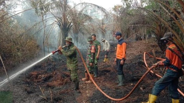 Menyisakan Asap pada Lahan 6  Hektare di Muara Enim yang Terbakar Habis