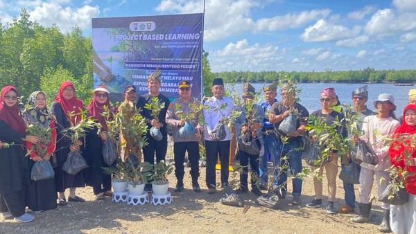 Selamatkan Pulau Meranti dari Abrasi, Siswa MAN Tanam Ribuan Mangrove