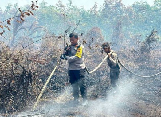 Kawasan Suaka Margasatwa Rimbang Baling Dibakar, Pelaku Langsung Ditangkap