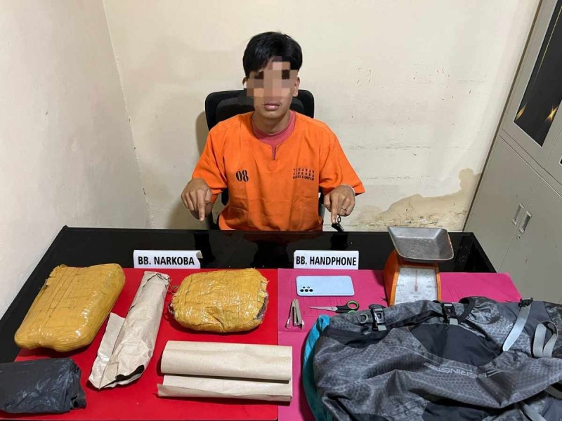 Satresnarkoba Kampar Ringkus Pemuda Pembawa Ganja 1,38 Kg di Koto Kampar Hulu