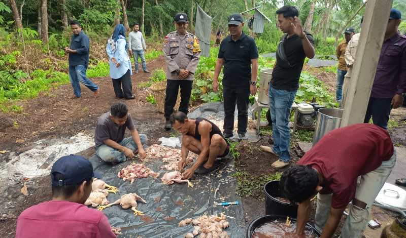 Panen Perdana Ayam Potong, Wabup Bengkalis Apresiasi Langkah Inovatif Desa