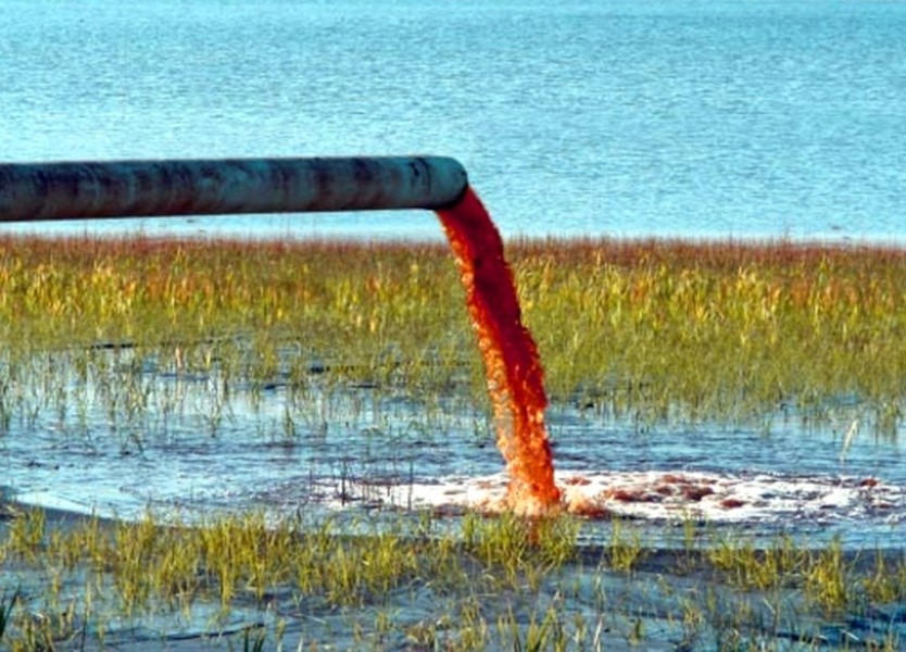 Cemari Laut Sri Langka, Perusahaan Kapal Ini Dituntut US$ 1 Miliar